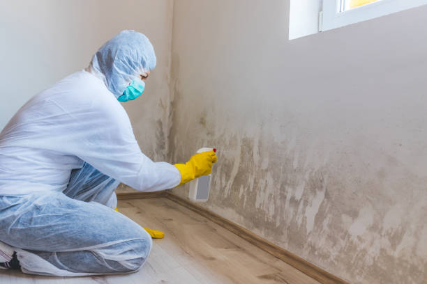 Best Mold Removal Process  in Jarales, NM