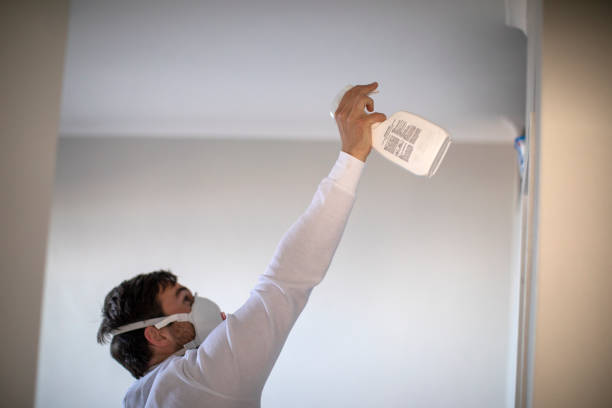 Best Same-Day Mold Removal  in Jarales, NM