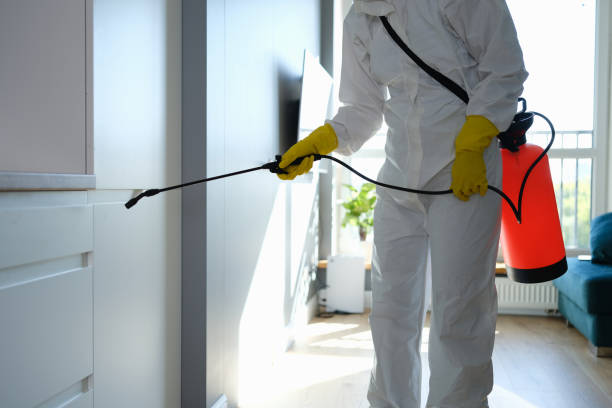 Best Mold Testing  in Jarales, NM