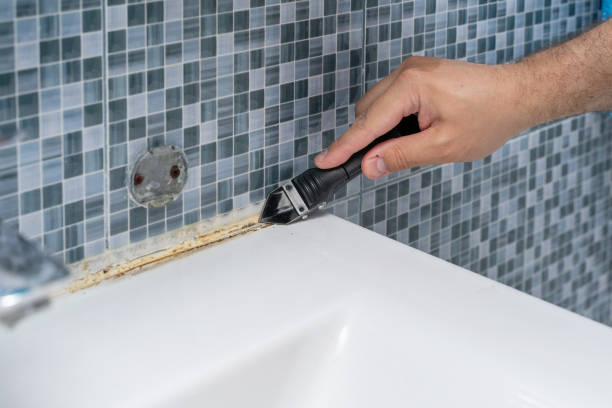 Best Professional Mold Removal  in Jarales, NM